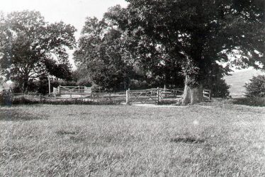 Chesterton.  Wind Mill Hill