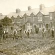Rugby.  Murray School war garden