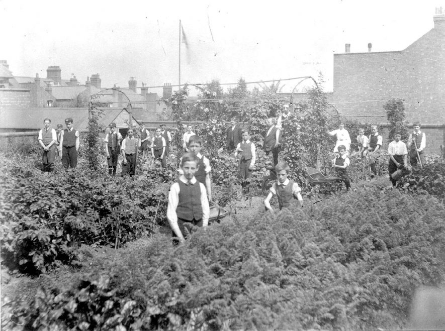 Wartime garden in first world war at Murray School, Rugby.  1917 |  IMAGE LOCATION: (Warwickshire County Record Office)