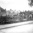 Rugby.  Murray School war garden