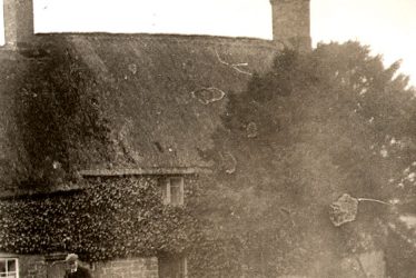 Tysoe.  Orchards, Lower Tysoe