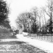 Willoughby.  Sawbridge