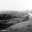 Yarningale Common.