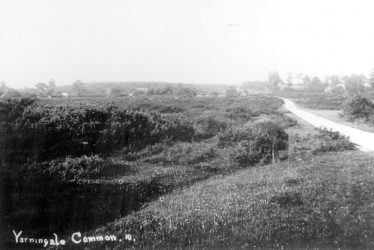 Yarningale Common.