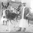Cubbington.  Bread delivery by donkey and trap