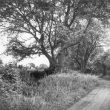 Exhall, nr Coventry.  Blackberry Lane