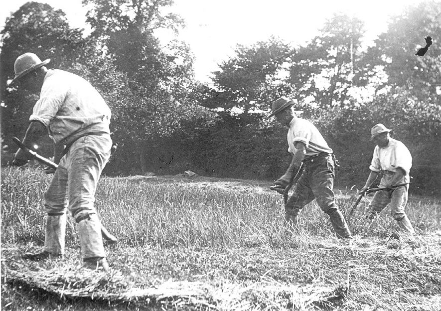 Three men scything in a field at Lower Brailes.  1900 |  IMAGE LOCATION: (Warwickshire County Record Office)