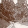 Great Alne.  A country lane