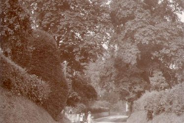 Great Alne.  A country lane