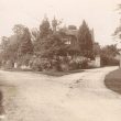 Great Alne Hall: A Recollection