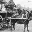 Great Alne.  Donkey and cart with children