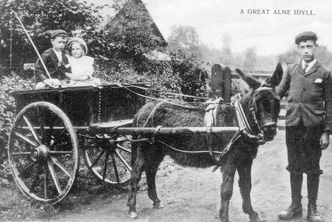 Great Alne.  Donkey and cart with children