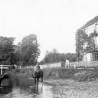 Coughton.  Rounding up cattle