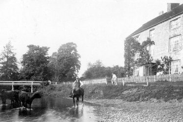 Coughton.  Rounding up cattle