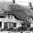 Ilmington.  "The  Bevingtons"
