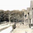 Hartshill.  The Woodlands