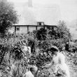 Hampton Lucy.  Avon Ford Cottage Garden