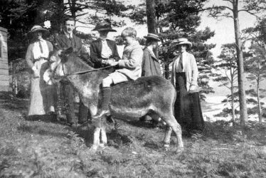 Hampton Lucy.  Fairfax-Lucy family at Maxton, Scotland