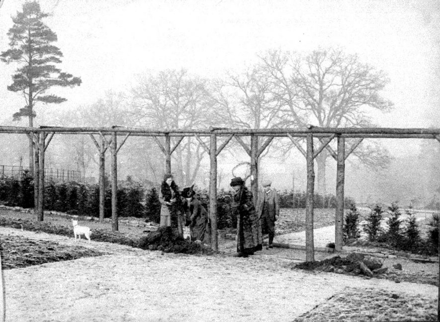 Garden at Ryon Hill, Hampton Lucy. Three ladies and dog.  1900s |  IMAGE LOCATION: (Warwickshire County Record Office) PEOPLE IN PHOTO: Passmore, Mabel, Passmore, Edith