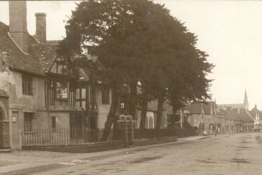 Henley in Arden.  Yew Trees