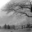 Kenilworth.  Castle in winter