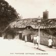 Kenilworth.  Old thatched cottages