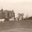 Kenilworth.  Castle Farm