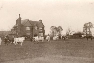 Kenilworth.  Castle Farm