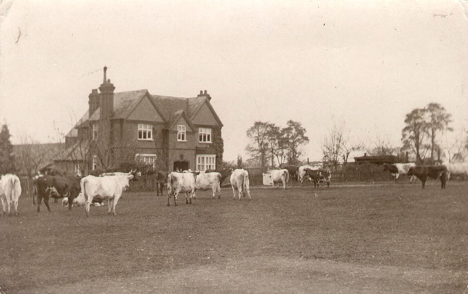 Kenilworth. Castle Farm Our Warwickshire