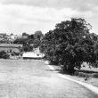 Kenilworth.  Abbey Fields