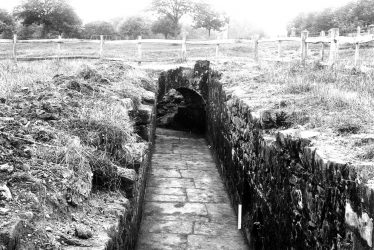 Kenilworth.  St Mary's Abbey foundations