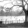 Kenilworth.  Ice skating