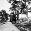 Dunchurch.  Dunchurch Avenue [Coventry Road]
