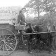 Kingswood.  Baker's roundsman C.R. Moseley