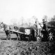 Dunchurch. Buccleuch Estate, tractor