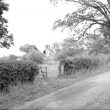 Marton.  View across fields to St Esprit's Church
