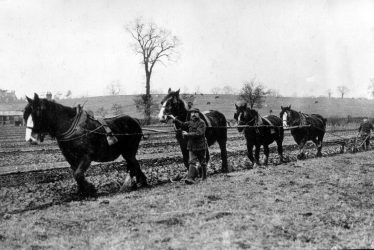 Dunchurch.  Buccleuch Estate, ploughing