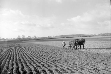 Long Itchington.  Horse ploughing