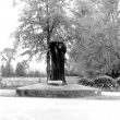 Lillington. Midland Oak