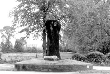 Lillington. Midland Oak