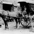 Cherington.  Horse and carrier