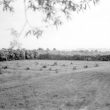 Newbold-on-Stour.  Railway and ridge and furrow lines