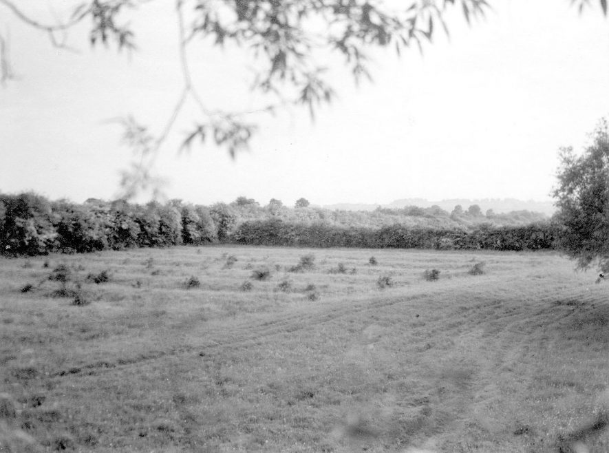 Line of old railway with ridge and furrow lines in foreground, Newbold on Stour.  1960 |  IMAGE LOCATION: (Warwickshire County Record Office)