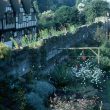 Warwick.  Mill Street Garden