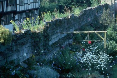 Warwick.  Mill Street Garden