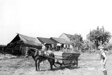 Warwick.  Old Kennels Farm