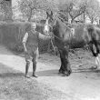 Oldberrow.  Man and horse at Oldberrow Court.