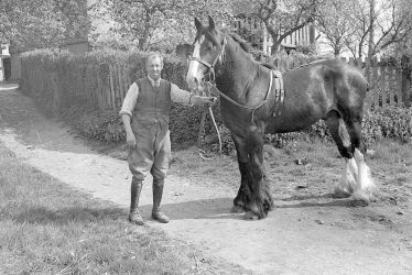 Oldberrow.  Man and horse at Oldberrow Court.