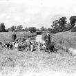 Radford Semele.  Otter Hounds