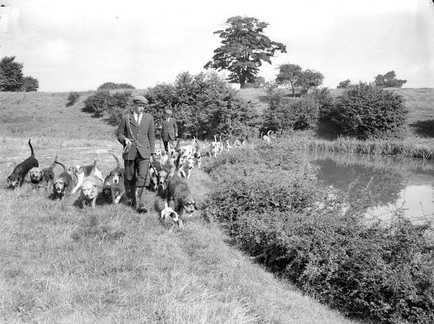 Otter hounds and men by stream, Radford Semele.  1958 |  IMAGE LOCATION: (Warwickshire County Record Office)